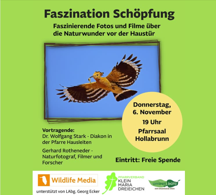 Faszination Schöpfung